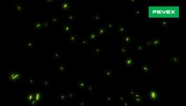 Black Friday with ZABA credit cards in PEVEX Webshop